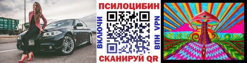 Псилоцибиновые грибы Psilocybine cubensis  Покровск 